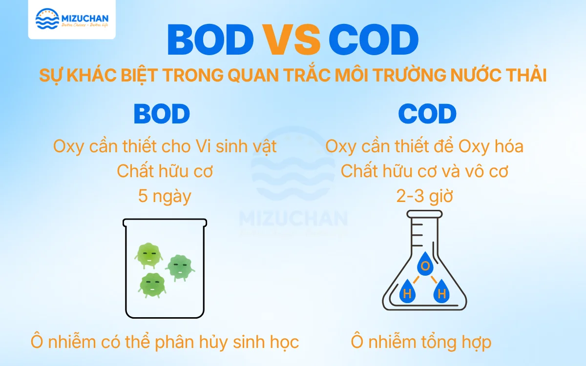 Minh họa chỉ số COD và BOD