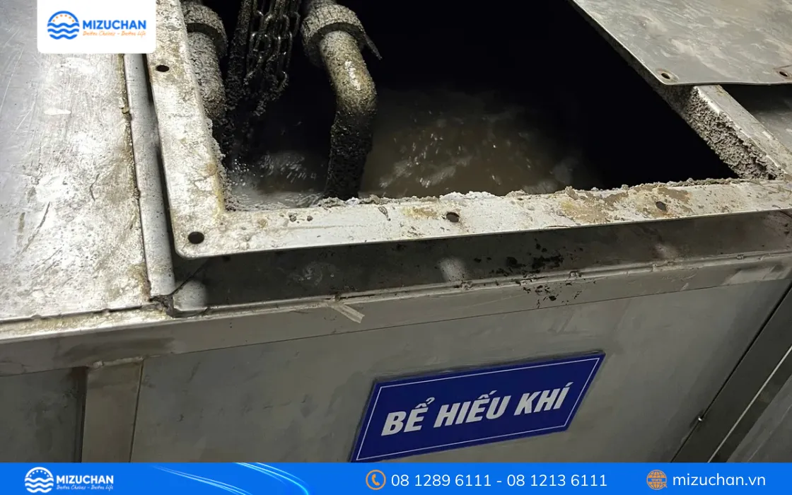 Bể hiếu khí trong hệ thống xử lý nước thải