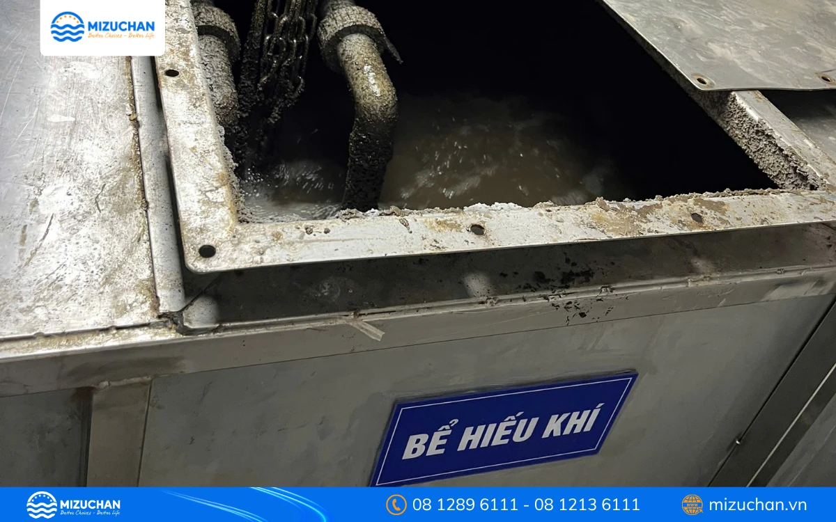 Phương pháp xử lý sinh học bằng bể hiếu khí
