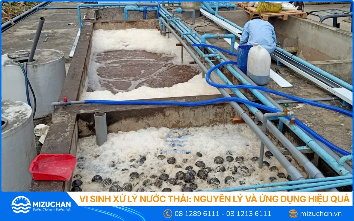 Vi Sinh Xử Lý Nước Thải_ Nguyên Lý Và Ứng Dụng Hiệu Quả