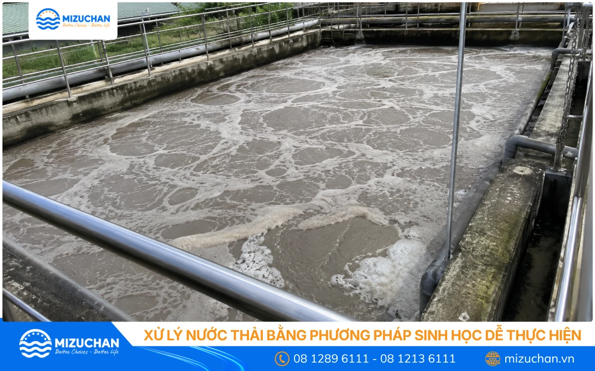 Xử lý nước thải bằng phương pháp sinh học dễ thực hiện
