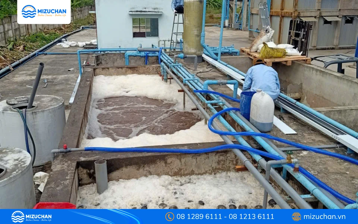 Xử Lý Nước Thải Bằng Phương Pháp Sinh Học Dễ Thực Hiện