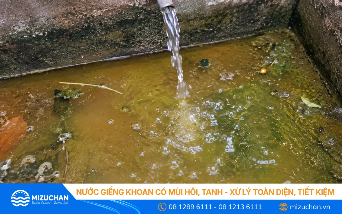 Nước Giếng Khoan Có Mùi Hôi, Tanh - Xử Lý Toàn Diện, Tiết Kiệm