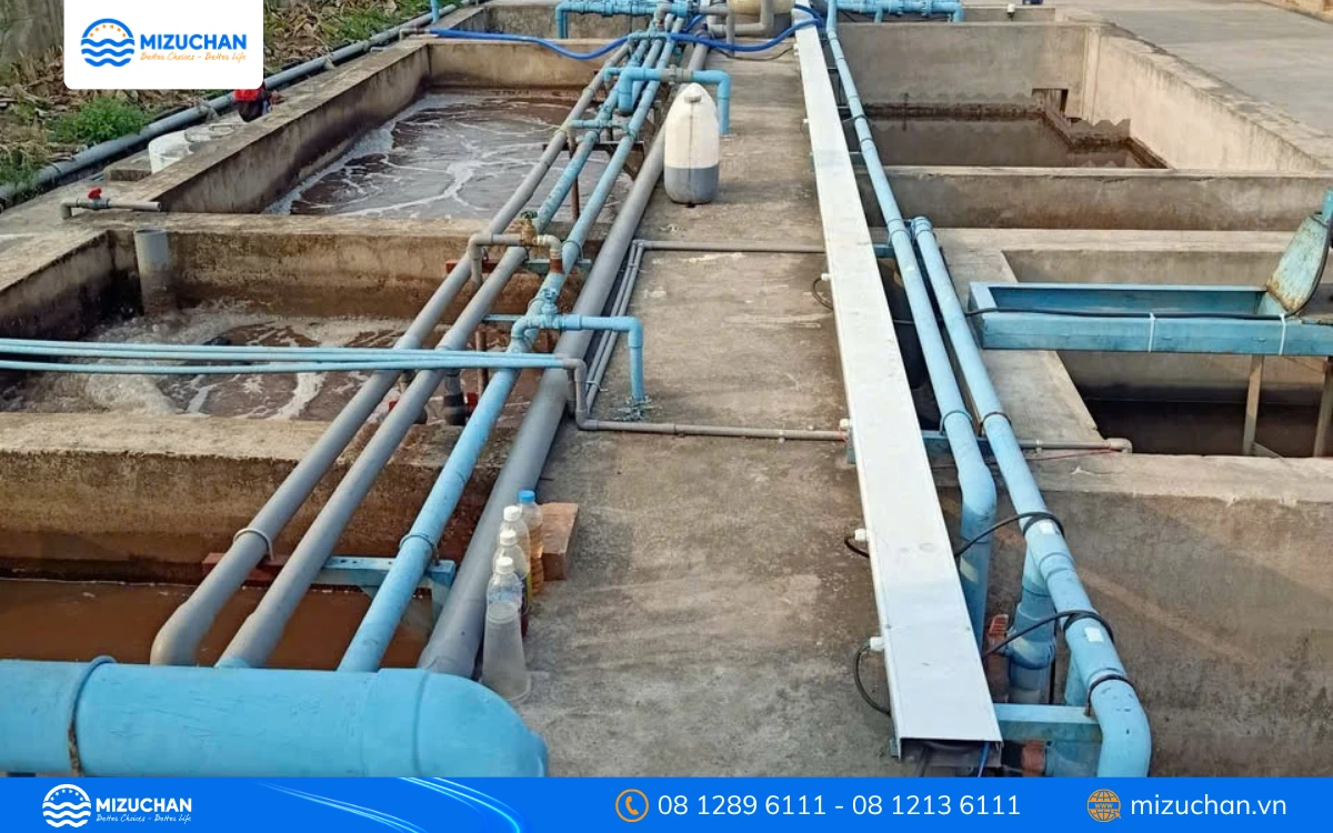 Dự án thực tế của Mizuchan tại cơ sơ sản xuất