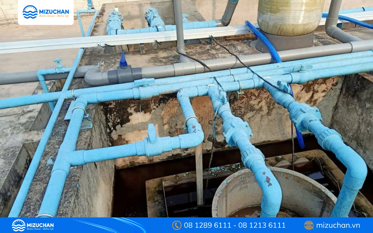 Dự án thực tế của Mizuchan