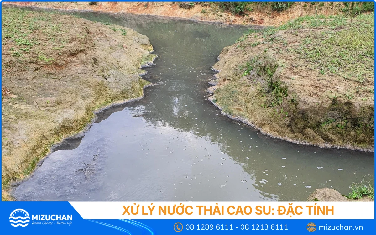 Vi Phạm Khi Không Xử Lý Nước Thải Cao Su