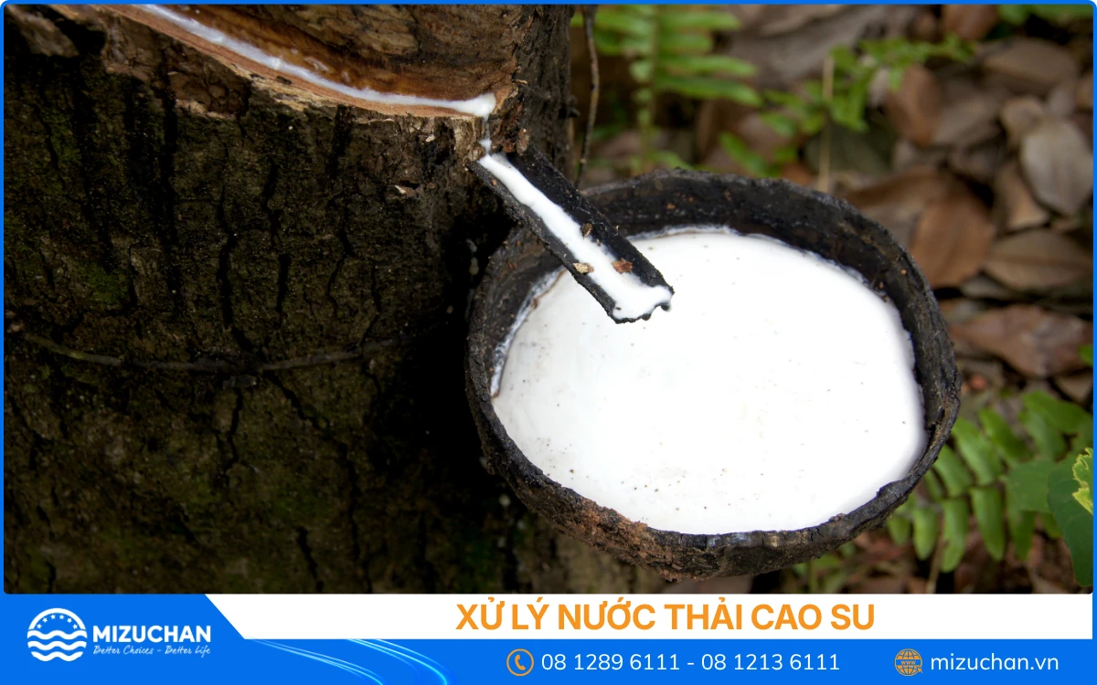 Xử Lý Nước Thải Cao Su: Đặc Tính, Quy Trình Công Nghệ và Quy Chuẩn Xả Thải Mới Nhất