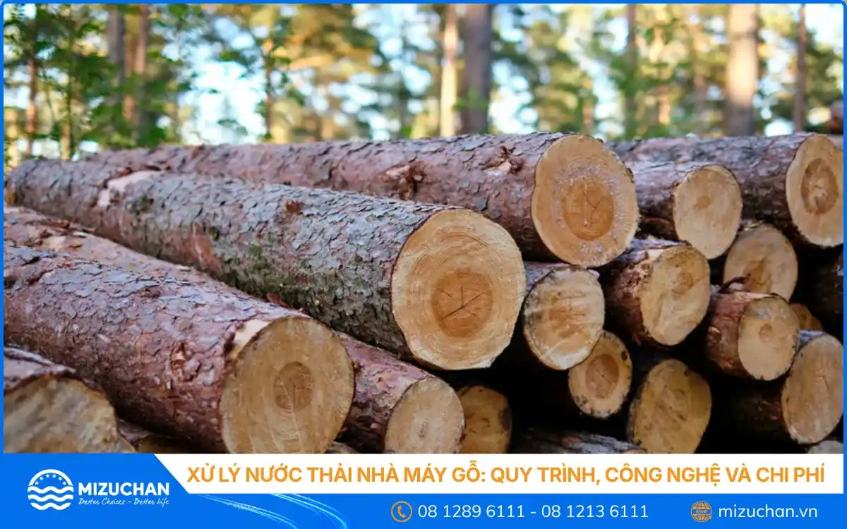Xử Lý Nước Thải Nhà Máy Gỗ: Quy Trình, Công Nghệ và Chi Phí Thực Tế